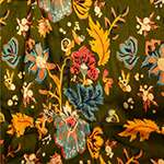 צבעוני רקע זית