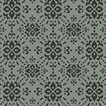 פרח תלתן שחור