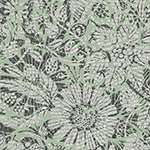 חמניה ירקרק/לבן