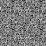 צורות שחור/לבן