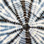 כחולים סגולים