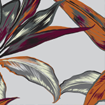 פרחי ציפורן רקע שמנת