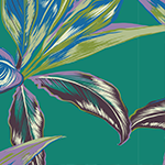 פרחי ציפורן תכלת