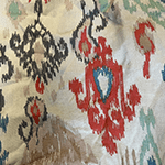 אינדיאני על רקע אפור