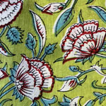 גינת קיץ ירוק