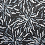 כוכב ים גווני אפור שחור