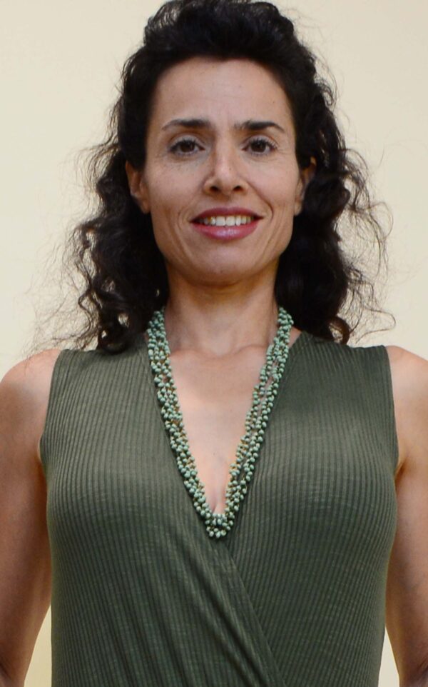 שרשרת ארוכה