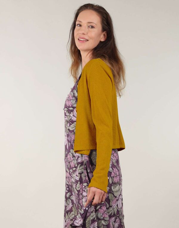 עליונית קלילה עליונית קלילה