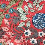 עלים צבעוניים