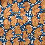 פרחים כתומים