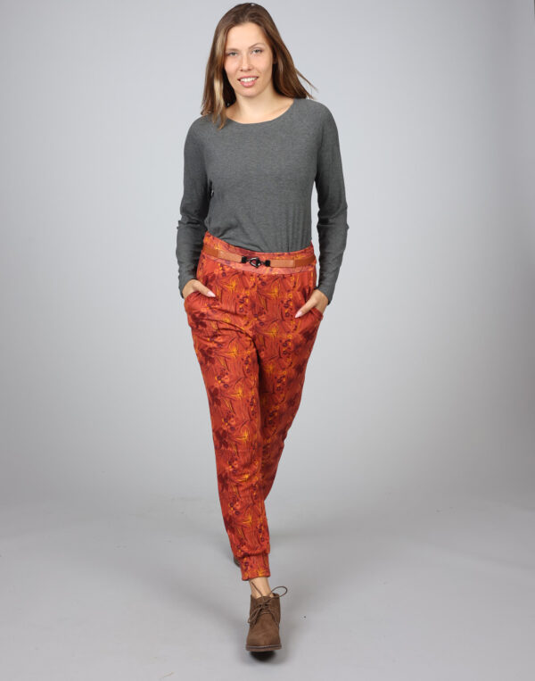 חגורת אבזם סוגר