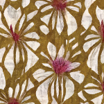 פרחים לבנים גדולים