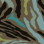 זברה צבעוני