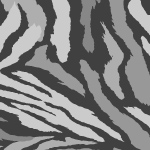 זברה אפורים